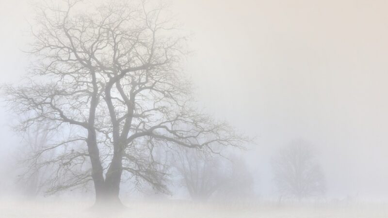 Ostrzeżenie Instytutu Meteorologii i Gospodarki Wodnej w Krakowie dla Kielc i regionu świętokrzyskiego o potencjalnie niebezpiecznej mgle