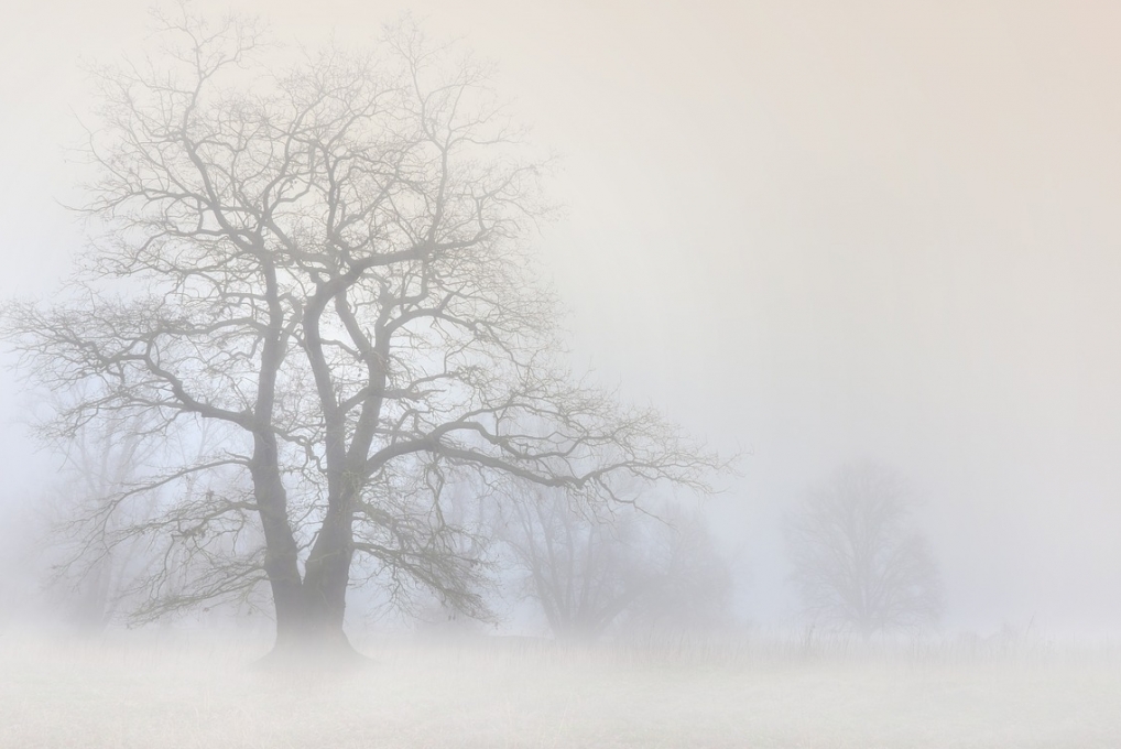 Ostrzeżenie Instytutu Meteorologii i Gospodarki Wodnej w Krakowie dla Kielc i regionu świętokrzyskiego o potencjalnie niebezpiecznej mgle